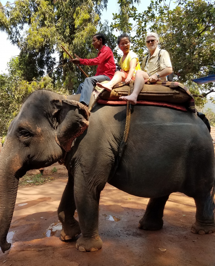 Elephant ride in GOA