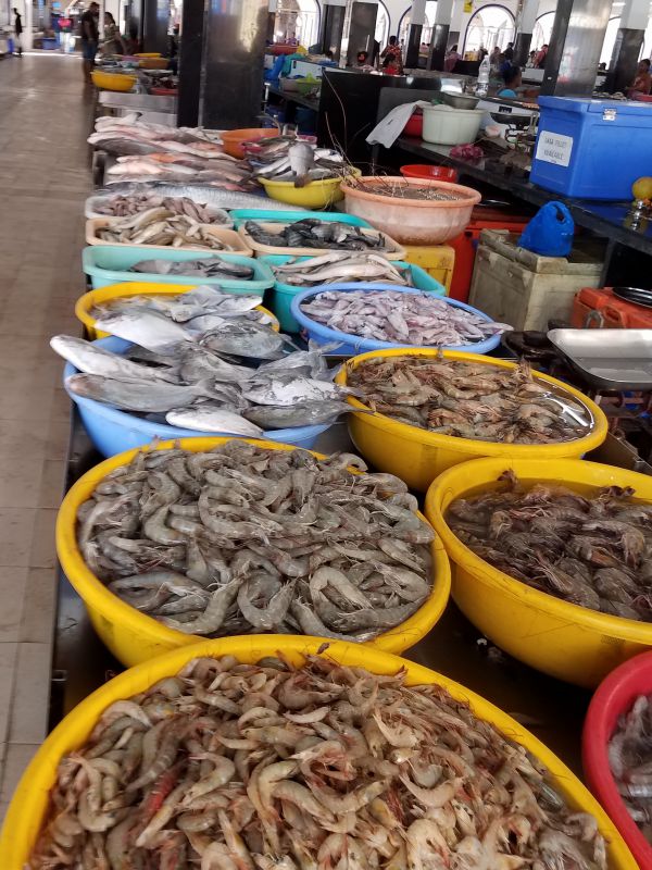 GOA fish market
