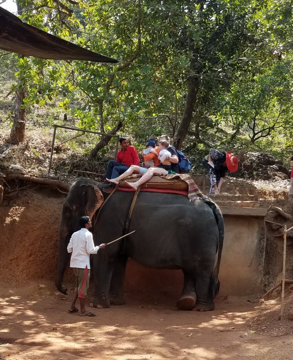 Family of 4 share a ride - 2 small kids