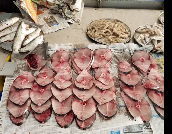 GOA seafood