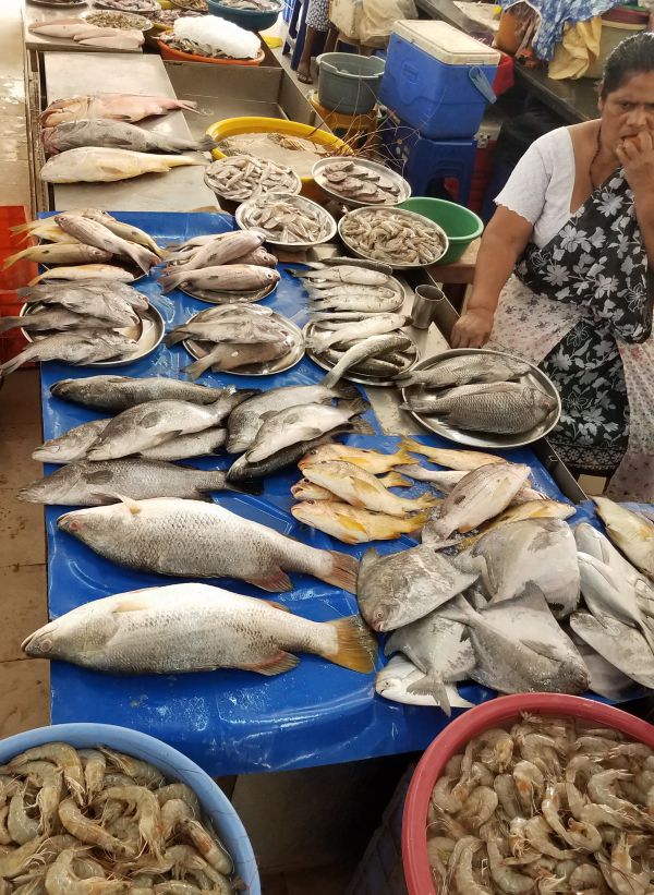 Fish Market in GOA
