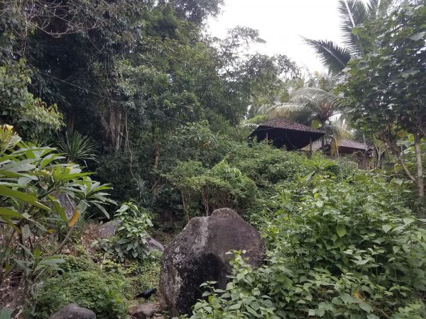 A nearby trail