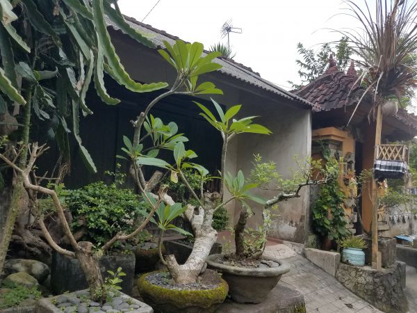 A typical Balinese residence